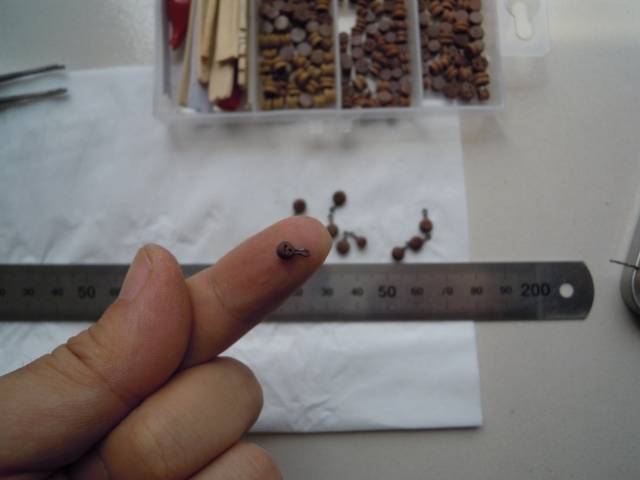 DSCN1738.jpg