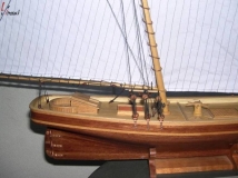 American美洲号 火点在线作品